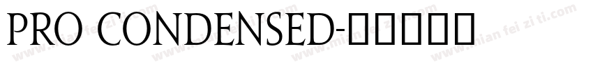 pro condensed字体转换